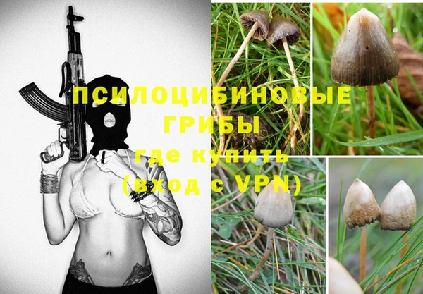 индика Абдулино