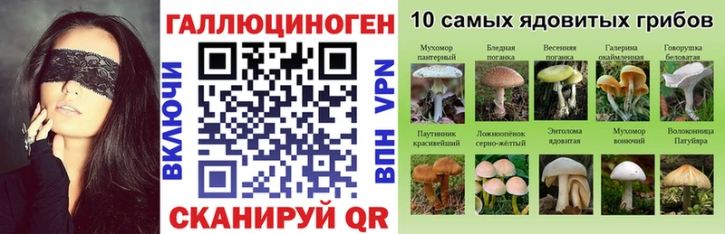 закладка Правдинск OMG вход Галлюциногенные грибы GOLDEN TEACHER